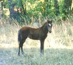 Am I not a cute little guy.